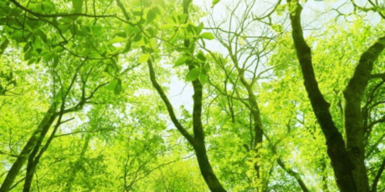 SDGs イメージ写真